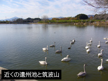 周辺環境